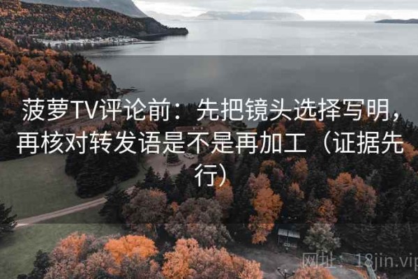 菠萝TV评论前：先把镜头选择写明，再核对转发语是不是再加工（证据先行）