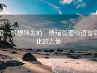 爱一帆想转发前：情绪管理与语言简化的力量
