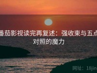 番茄影视读完再复述：强收束与五点对照的魔力