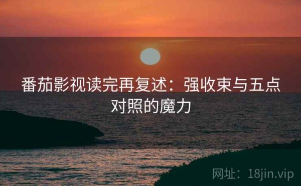 番茄影视读完再复述：强收束与五点对照的魔力