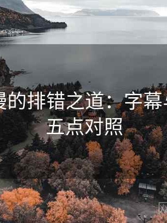 风车动漫的排错之道：字幕与对比的五点对照
