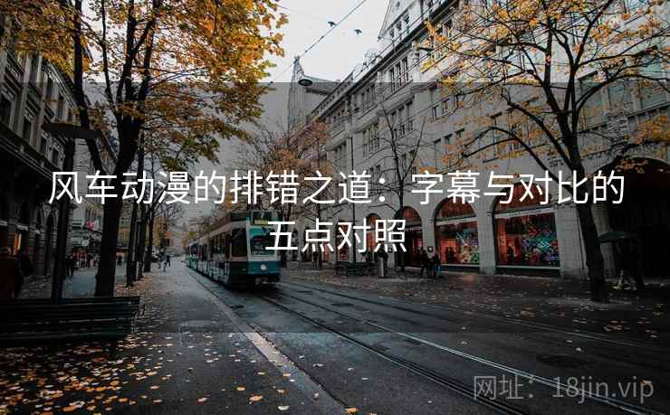 风车动漫的排错之道：字幕与对比的五点对照
