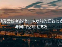 动漫爱好者必读：转发前的细致检查与同口径对比技巧